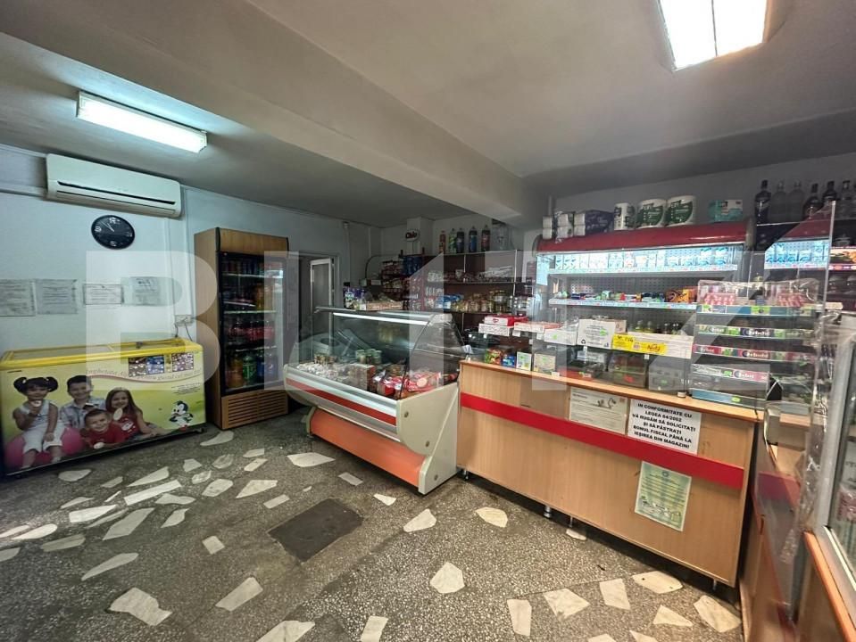 Spațiu comercial de vânzare Ampoi 3 - 149711SVC | BLITZ Alba Iulia | Poza2