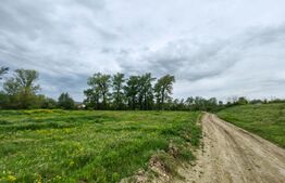 Teren intravilan 6010 mp, zona Sebes