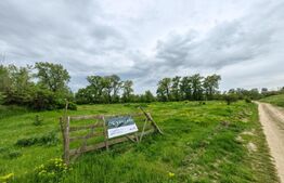 Teren intravilan 6010 mp, zona Sebes