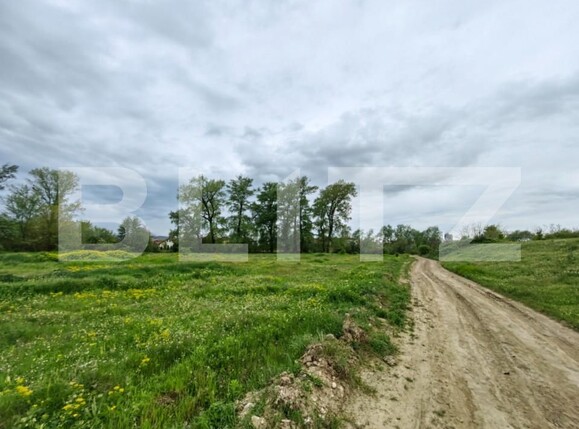 Teren de vânzare Sebeș - 149715TV | BLITZ Alba Iulia | Poza4