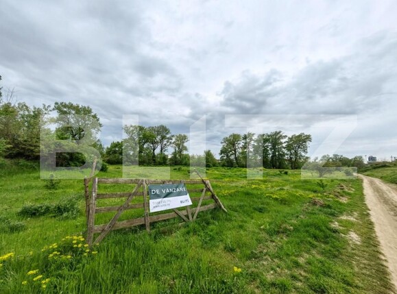 Teren de vânzare Sebeș - 149715TV | BLITZ Alba Iulia | Poza2