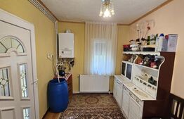 Casa individuala 4 camere, 105 mp, 2593 mp teren, comuna Vintu de Jos