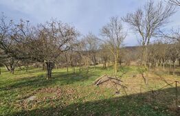 Casa individuala 4 camere, 105 mp, 2593 mp teren, comuna Vintu de Jos