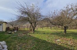 Casa individuala 4 camere, 105 mp, 2593 mp teren, comuna Vintu de Jos