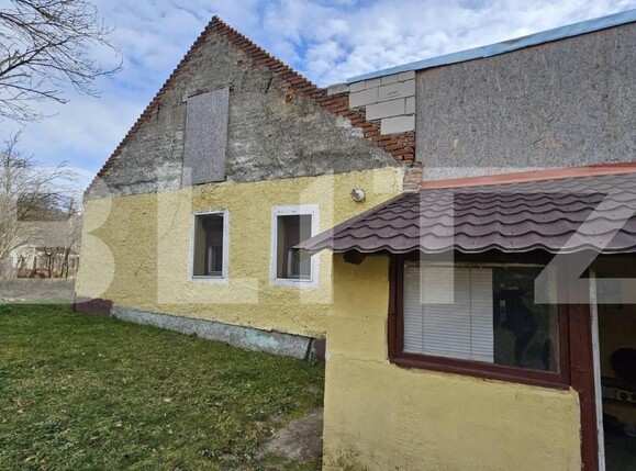Casa de vânzare 4 camere Vinţu de Jos - 150249CV | BLITZ Alba Iulia | Poza10