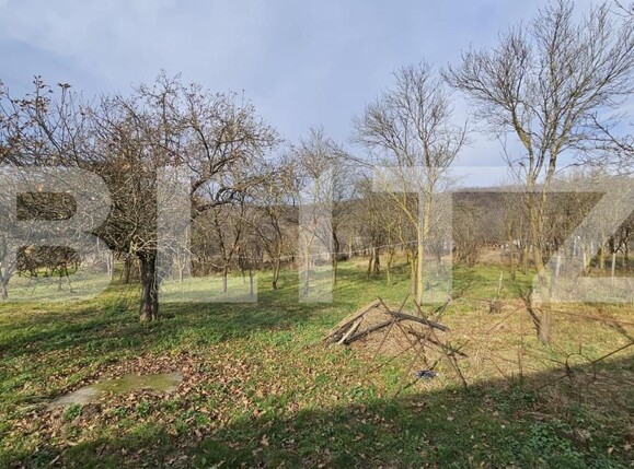 Casa de vânzare 4 camere Vinţu de Jos - 150249CV | BLITZ Alba Iulia | Poza17