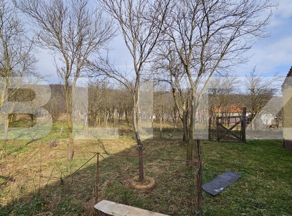 Casa de vânzare 4 camere Vinţu de Jos - 150249CV | BLITZ Alba Iulia | Poza15