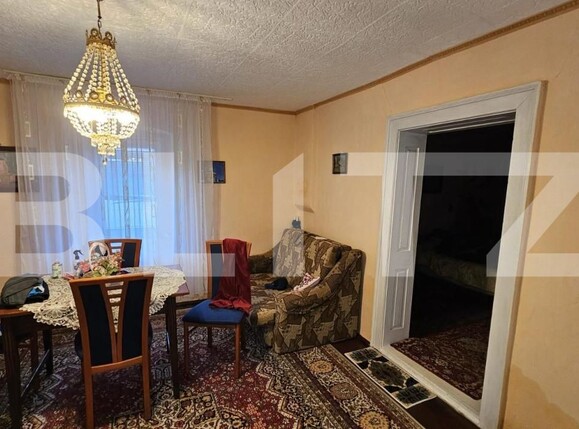 Casa de vânzare 4 camere Vinţu de Jos - 150249CV | BLITZ Alba Iulia | Poza12