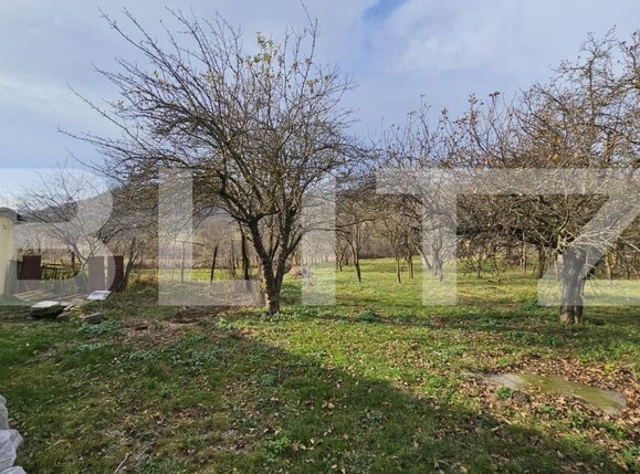 Casa de vânzare 4 camere Vinţu de Jos - 150249CV | BLITZ Alba Iulia | Poza16