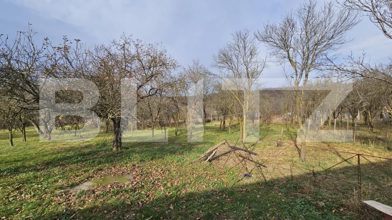 Casa de vânzare 4 camere Vinţu de Jos - 150249CV | BLITZ Alba Iulia | Poza17