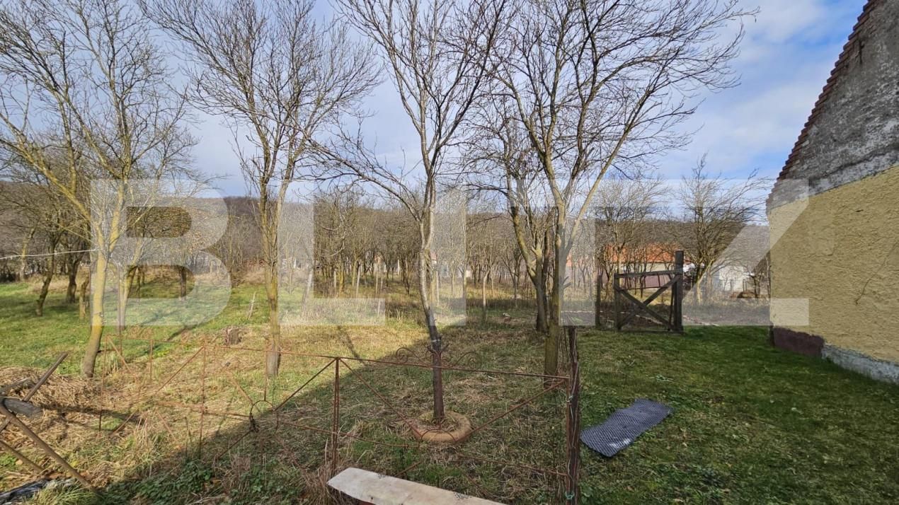 Casa de vânzare 4 camere Vinţu de Jos - 150249CV | BLITZ Alba Iulia | Poza15