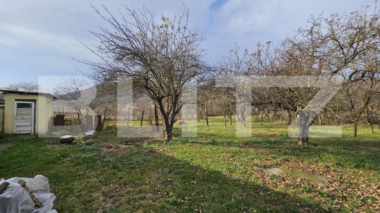 Casa de vânzare 4 camere Vinţu de Jos - 150249CV | BLITZ Alba Iulia | Poza16