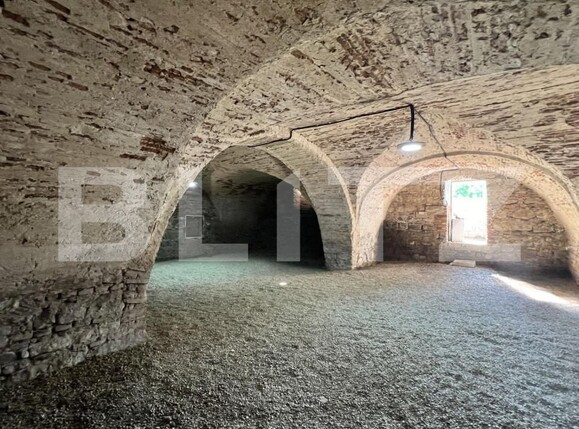 Casa de vânzare 4 camere Vinţu de Jos - 150253CV | BLITZ Alba Iulia | Poza6