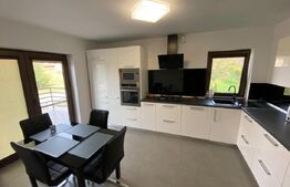 Casa 2 balcoane, supraveghere video, filigorie, 700 mp teren, Ciugud