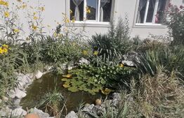 Casa 124 mp 5 camere 1 bucatarie 2 bai Zona Limba