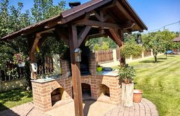 Casă cu 7 camere, teren 2300 mp, zona Sebeș - Petrești