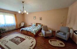 Casă cu 7 camere, teren 2300 mp, zona Sebeș - Petrești