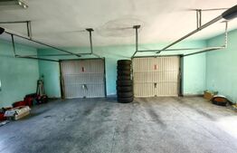 Casă cu 7 camere, teren 2300 mp, zona Sebeș - Petrești