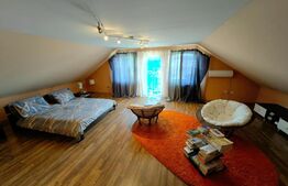 Casă cu 7 camere, teren 2300 mp, zona Sebeș - Petrești