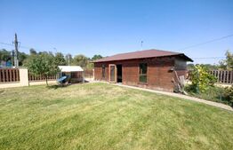 Casă cu 7 camere, teren 2300 mp, zona Sebeș - Petrești