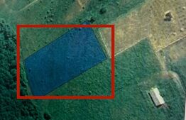 Teren intravilan, 4550mp, zona Parc Dendrologic