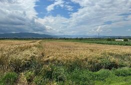 Teren intravilan/extravilan, 6400mp, Ciugud