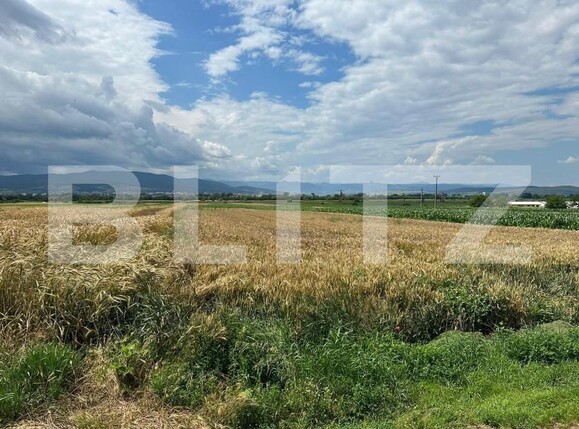 Teren de vânzare Cetate - 150536TV | BLITZ Alba Iulia | Poza2