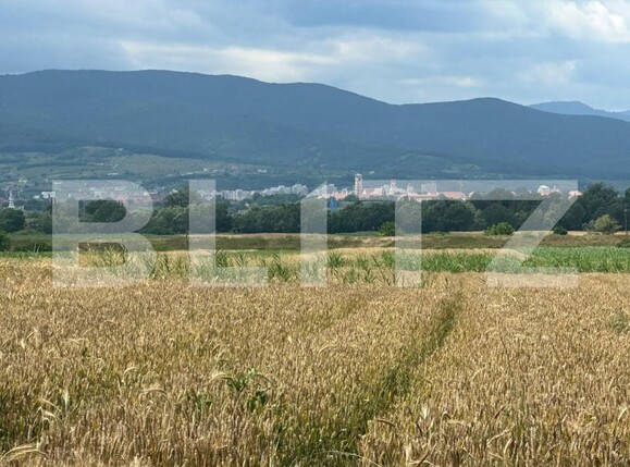 Teren de vânzare Cetate - 150536TV | BLITZ Alba Iulia | Poza1