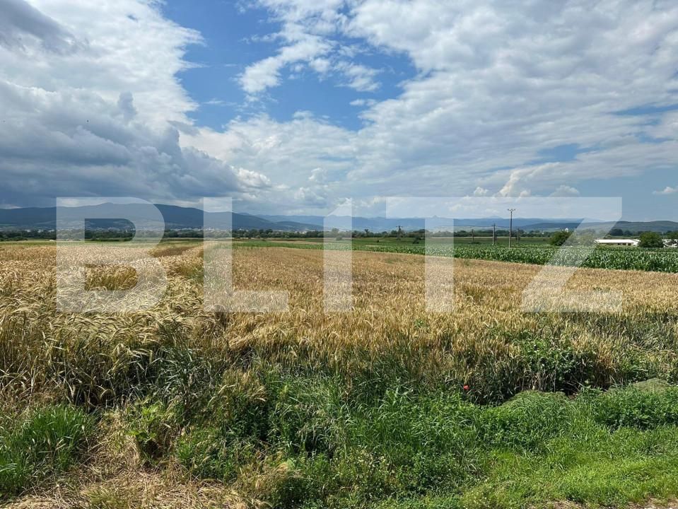 Teren de vânzare Cetate - 150536TV | BLITZ Alba Iulia | Poza2