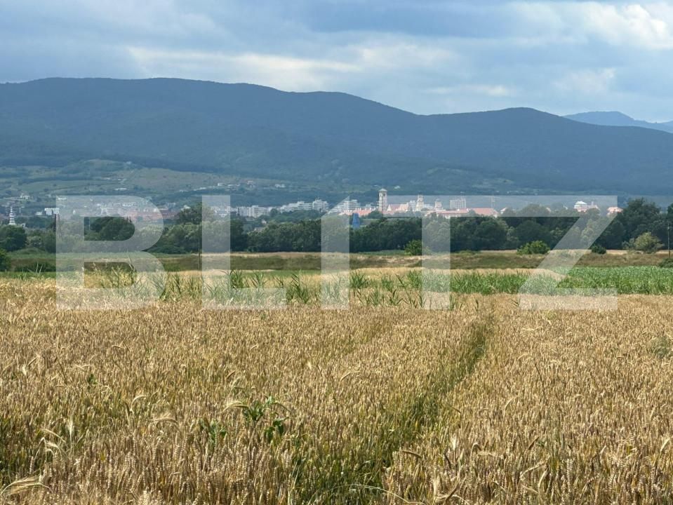 Teren de vânzare Cetate - 150536TV | BLITZ Alba Iulia | Poza1