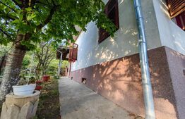 CONAC | 4ha DE TEREN | Clădire la roșu pretabilă Agropensiune în Șard