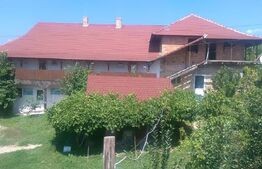 CONAC | 4ha DE TEREN | Clădire la roșu pretabilă Agropensiune în Șard