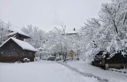 CONAC | 4ha DE TEREN | Clădire la roșu pretabilă Agropensiune în Șard