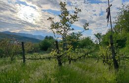 Conac boieresc, 4ha de teren și clădire pretabilă pentru Agropensiune, zona Șard