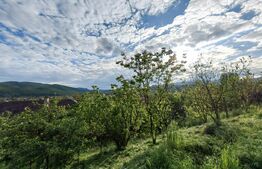 CONAC | 4ha DE TEREN | Clădire la roșu pretabilă Agropensiune în Șard