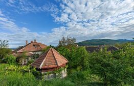 CONAC | 4ha DE TEREN | Clădire la roșu pretabilă Agropensiune în Șard