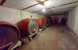 CONAC | 4ha DE TEREN | Clădire la roșu pretabilă Agropensiune în Șard