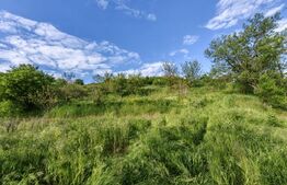 CONAC | 4ha DE TEREN | Clădire la roșu pretabilă Agropensiune în Șard