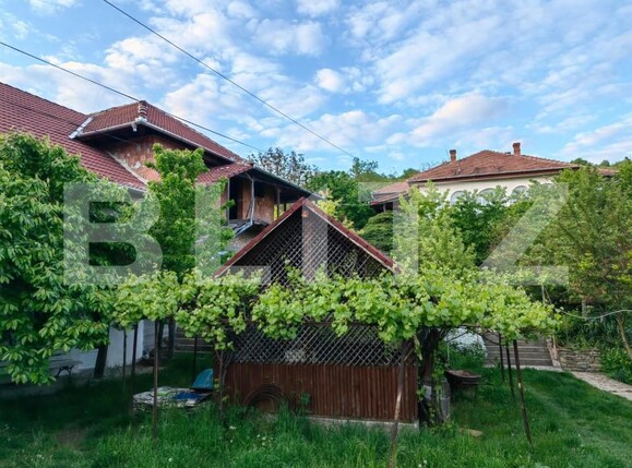 Casa de vânzare 5 camere Sard - 150537CV | BLITZ Alba Iulia | Poza19
