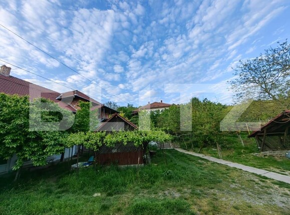 Casa de vânzare 5 camere Sard - 150537CV | BLITZ Alba Iulia | Poza18