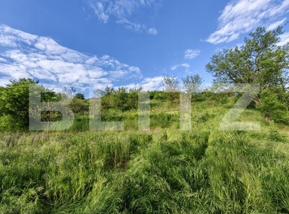 Casa de vânzare 5 camere Sard - 150537CV | BLITZ Alba Iulia | Poza9