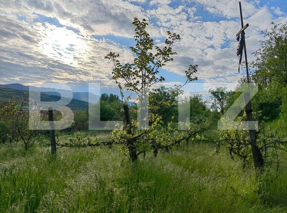 Casa de vânzare 5 camere Sard - 150537CV | BLITZ Alba Iulia | Poza11