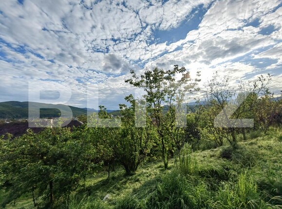 Casa de vânzare 5 camere Sard - 150537CV | BLITZ Alba Iulia | Poza10