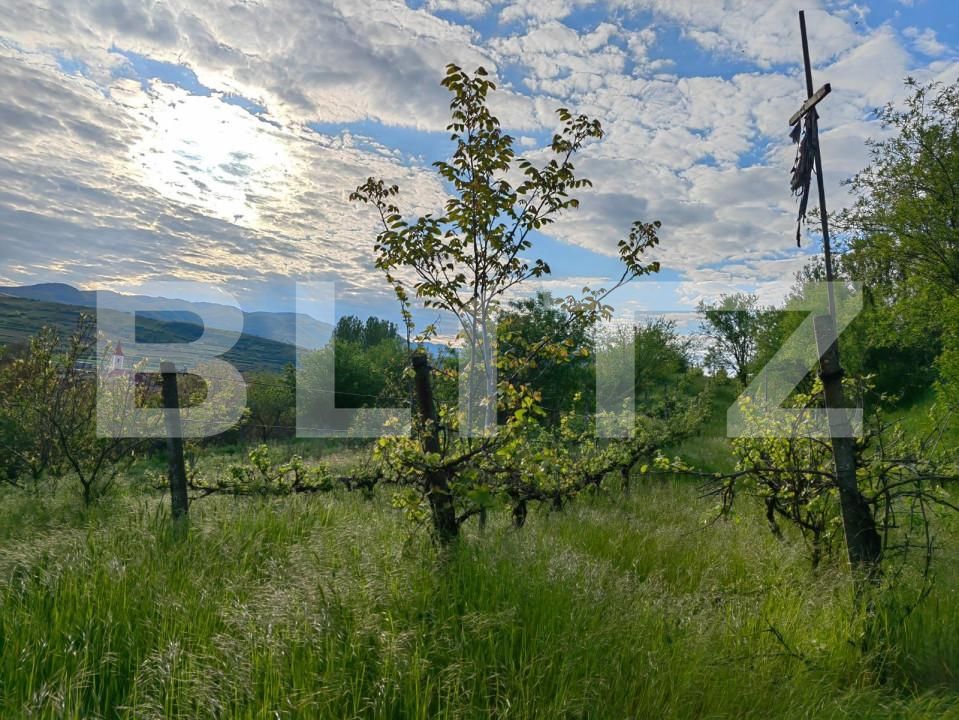 Casa de vânzare 5 camere Sard - 150537CV | BLITZ Alba Iulia | Poza23