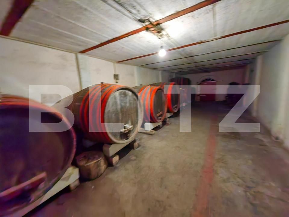 Casa de vânzare 5 camere Sard - 150537CV | BLITZ Alba Iulia | Poza13