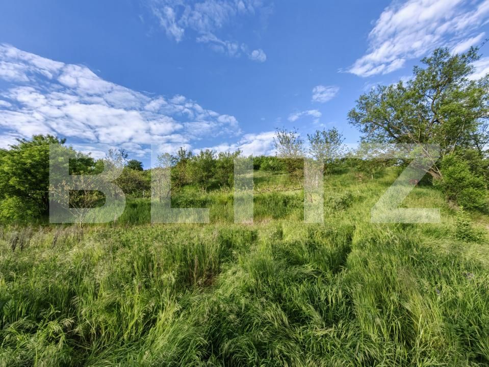 Casa de vânzare 5 camere Sard - 150537CV | BLITZ Alba Iulia | Poza9