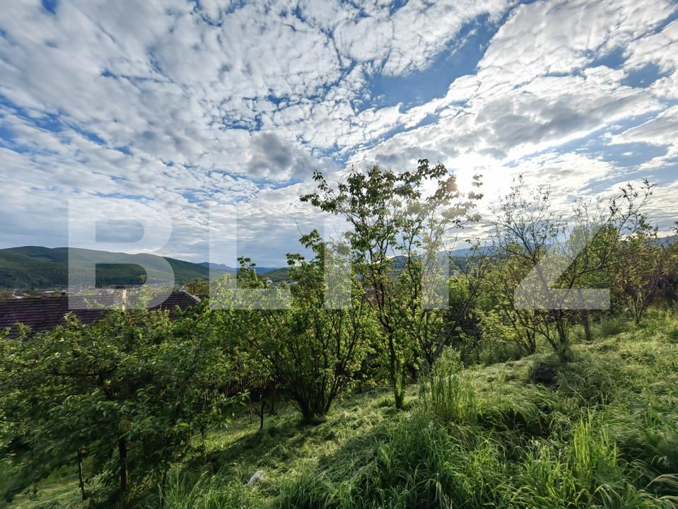 Casa de vânzare 5 camere Sard - 150537CV | BLITZ Alba Iulia | Poza10