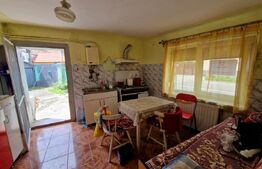 Casa individuala, 3 camere, 259mp teren, zona ultracentrala