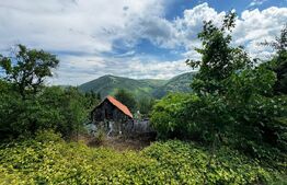 Casă la munte cu teren generos de 9340mp în zona Căpâlna - Valea Sebeșului