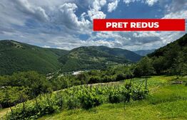 Casă la munte cu teren generos de 9340mp în zona Căpâlna - Valea Sebeșului